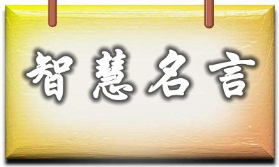 值得保藏的对于伶俐的名言