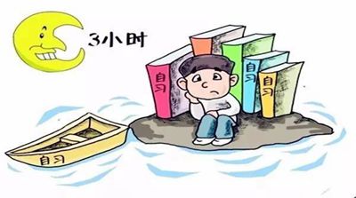 用好一天中进修效力最高的黄金时候