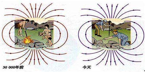 螃蟹为甚么横着走路,螃蟹横行的奥秘