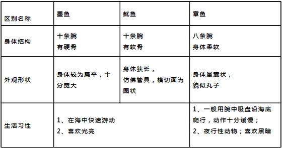 章鱼真的不身子吗,章鱼的身材布局