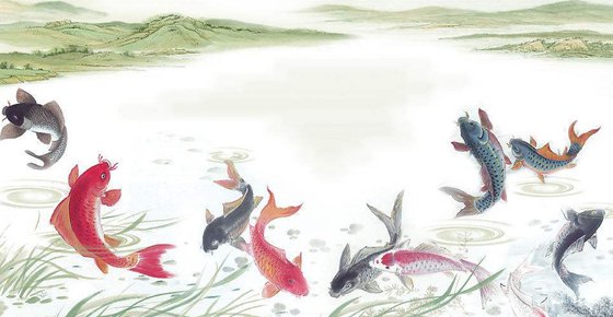 鲤鱼为甚么喜好跳水,鲤鱼喜好跳的缘由