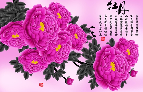 为甚么牡丹被称为花中之王？