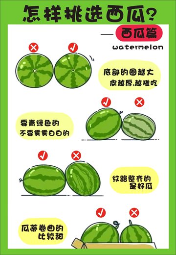 西瓜为甚么叫西瓜,西瓜名字的由来