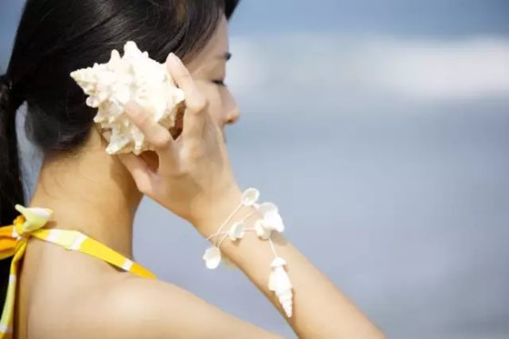 海螺里为甚么有大海的声响