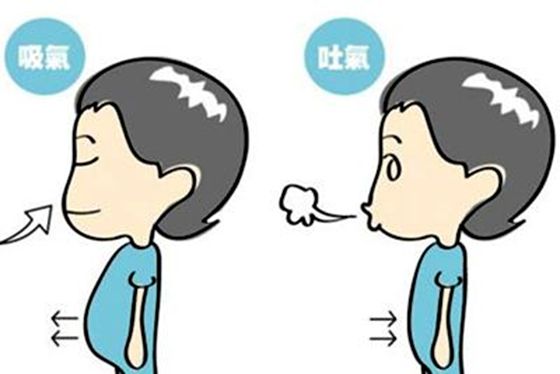 报酬甚么要用鼻子呼吸,用鼻子呼吸的益处
