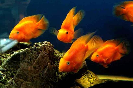 报酬甚么要眨眼睛,眨眼睛有哪些益处