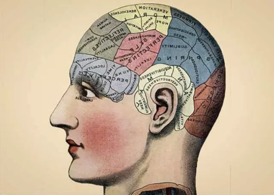 为甚么人会有影象,若何进步影象力