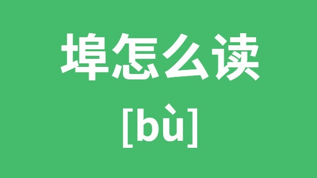埠怎样读