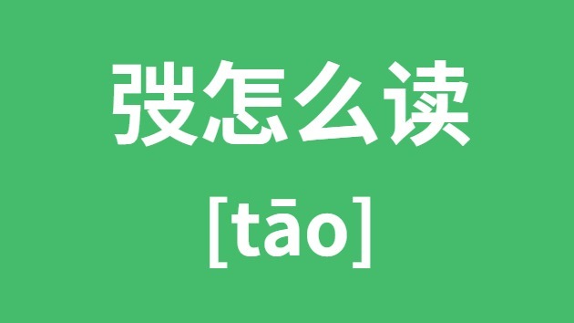 弢怎样读