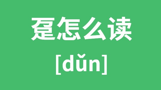 趸怎样读