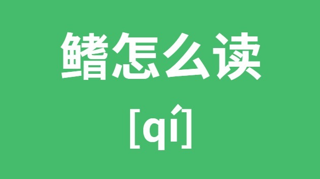 鳍怎样读