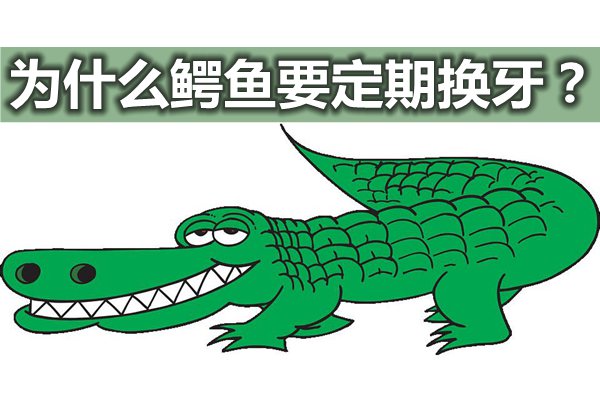 为甚么鳄鱼要按期换牙,鳄鱼平生换几多次牙