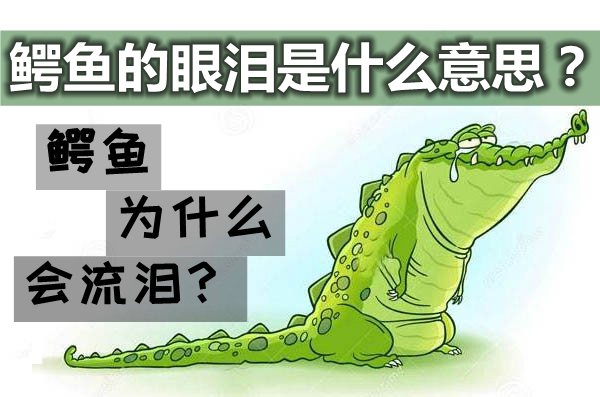 鳄鱼为甚么会堕泪,鳄鱼的眼泪是甚么意义