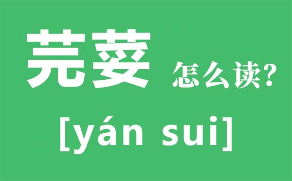 芫荽怎样读拼音是甚么,,芫荽是甚么,芫荽的功能