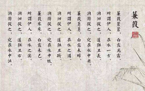蒹葭怎样读全文拼音,蒹葭的意义是甚么,蒹葭原文翻译及赏析
