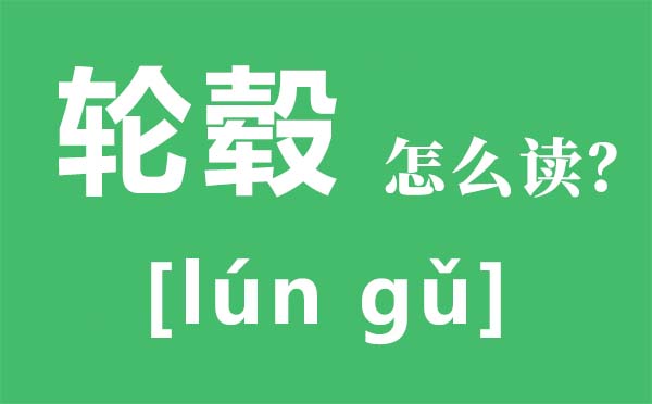 轮毂怎样读拼音是甚么,轮毂价钱是几多,轮毂品牌有哪些