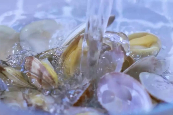 蛤蜊怎样读拼音是甚么,蛤蜊是甚么,蛤蜊的做法有哪些