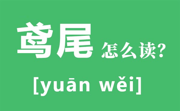 鸢尾怎样读拼音是甚么,鸢尾是甚么,鸢尾花花语是甚么
