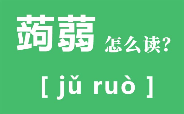 蒟蒻怎样读,蒟蒻是甚么,蒟蒻的功能与感化