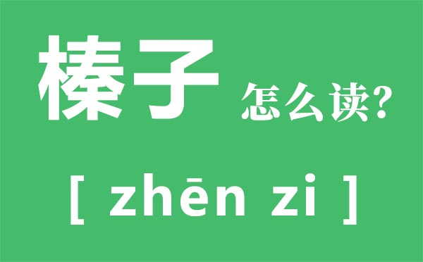 榛子怎样读,榛子是甚么,榛子的功能与感化