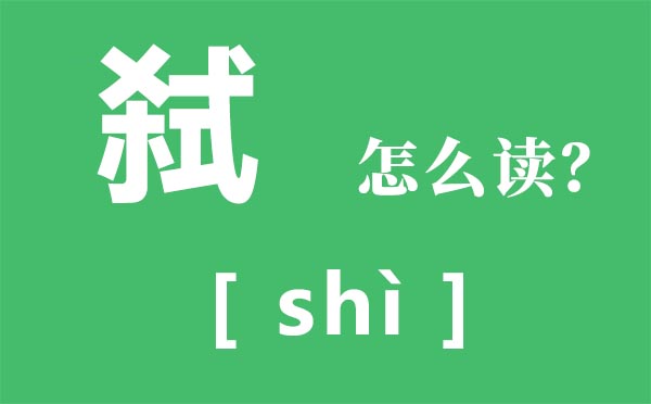 弑怎样读音,杀式念甚么,弑是甚么意义