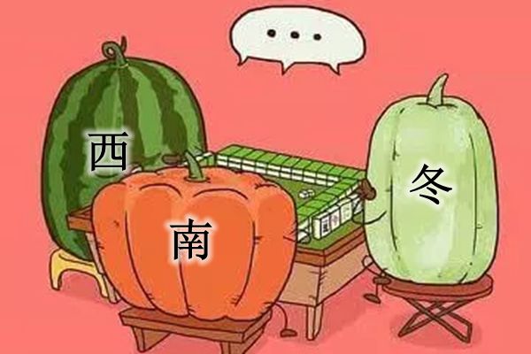 为甚么不北瓜,北瓜是甚么瓜