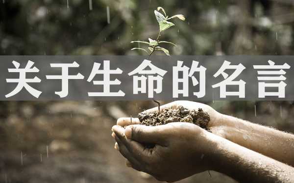 对性命的名流名言