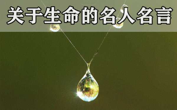 对性命的名流名言