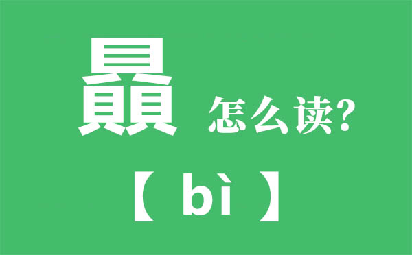 贔怎样读,三个繁体的贝怎样念,贔的拼音,贔字是甚么意义