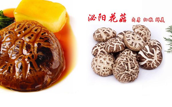 泌阳的泌怎样读,泌阳游览攻略,泌阳特产