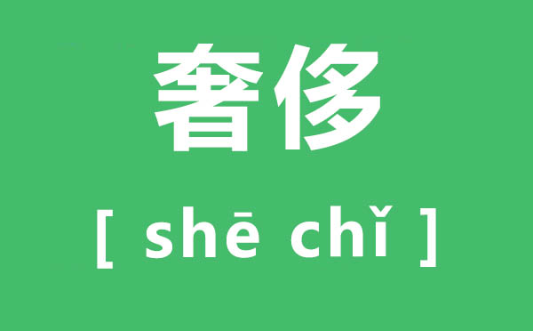豪侈怎样读,豪侈拼音是甚么,豪侈的意义