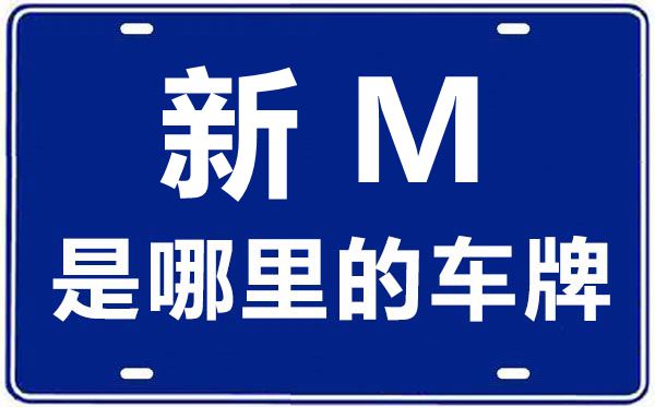 新M是那里的车商标,巴州的车商标是新甚么