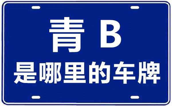 青B是那里的车商标,海东的车商标是青甚么