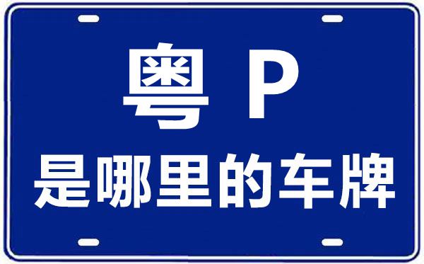 粤P是那里的车商标,河源的车商标是粤甚么