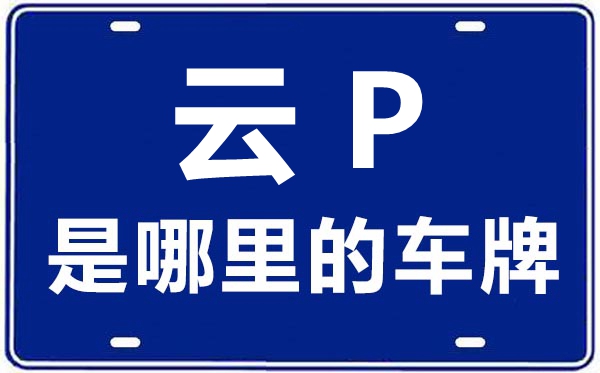 云P是那里的车商标,丽江的车商标是云甚么