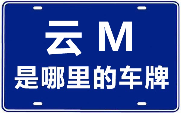 云M是那里的车商标,保山的车商标是云甚么