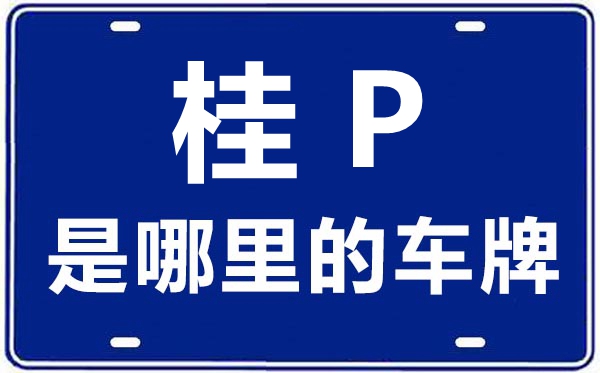 桂P是那里的车商标,防城港的车商标是桂甚么