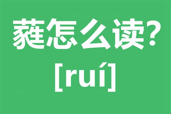 蕤怎样读,蕤的拼音,蕤是甚么意义