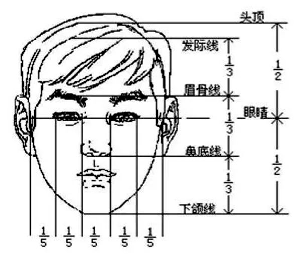 发际线为甚么会后移,发际线后移该怎样办