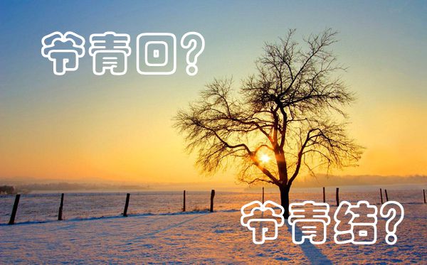 爷青回和爷青结是甚么意义,爷青回和爷青结的区分