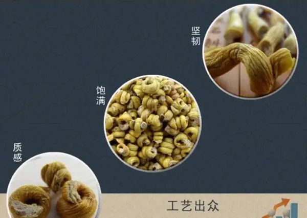 为甚么石斛排名九大仙草之首,石斛的功能与感化