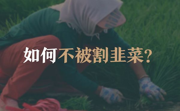 割韭菜是甚么意义,股市的割韭菜是若何回事