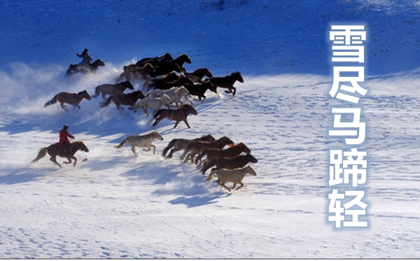 蚂蚁庄园12月31日谜底最新,小鸡庄园明天谜底12.31,付出宝小鸡讲堂本日答题