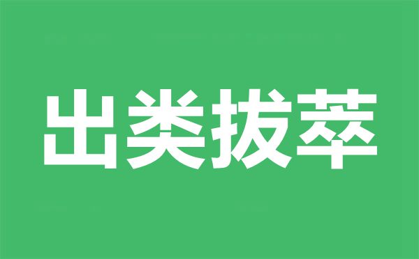 明天小鸡庄园的谜底1.13