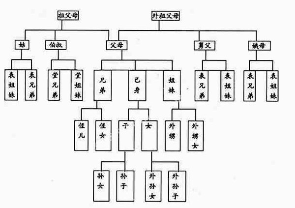 蚂蚁庄园本日谜底最新2.9
