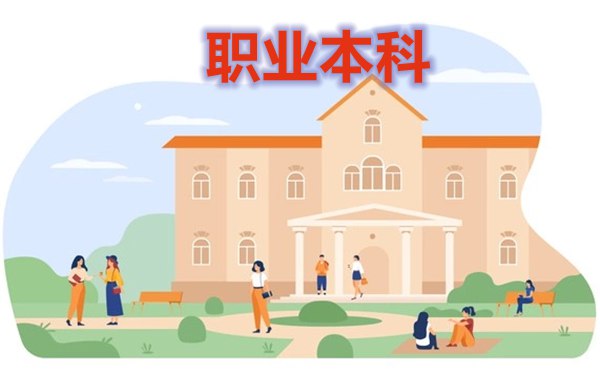 职业本科是甚么意义,职业本科和浅显本科的区分,能够考研考公事员吗