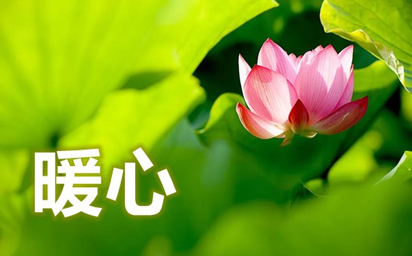 疫情最暖心短句,疫情时代唯美暖心的句子