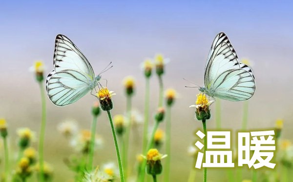 疫情最暖心短句,疫情时代唯美暖心的句子