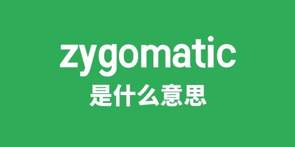 zygomatic是甚么意义