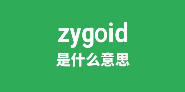 zygoid是甚么意义
